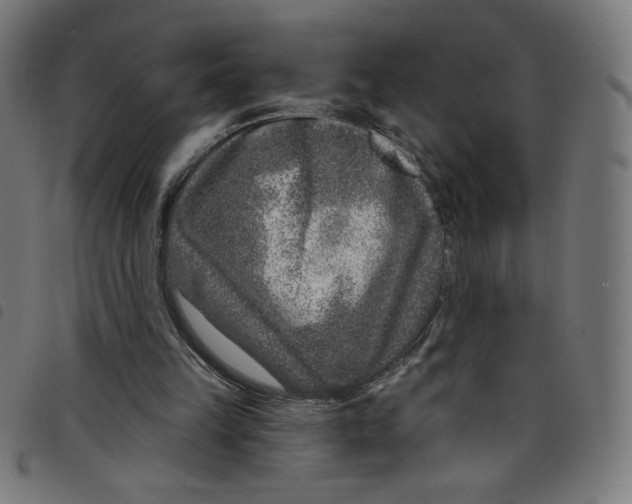 X0000098090149200804251303