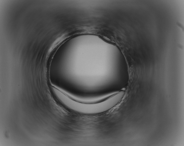 X0000098090150200804251303