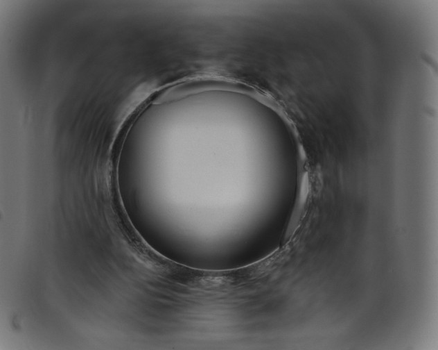 X0000098090152200804251303