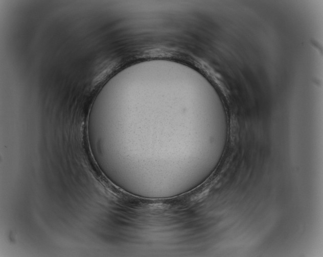 X0000098090153200804251303