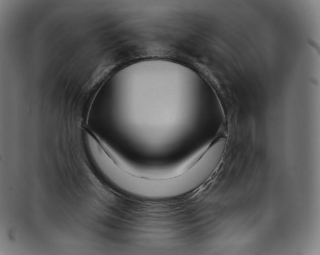 X0000098090154200804251303