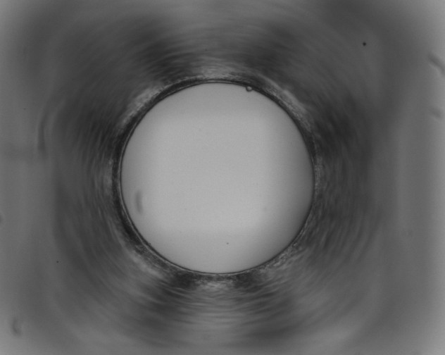 X0000098090155200804251303