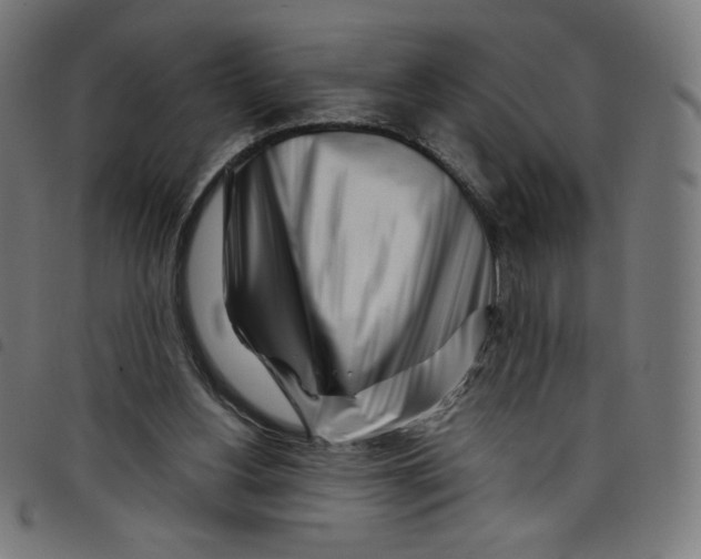 X0000098090156200804251303