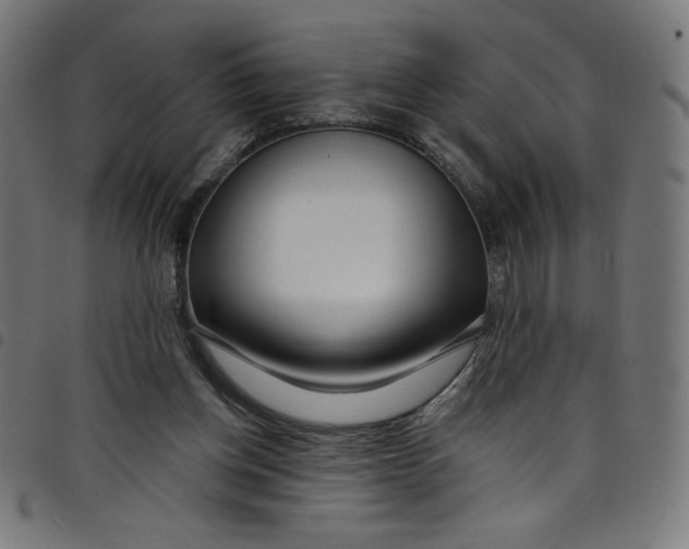 X0000098090158200804251303