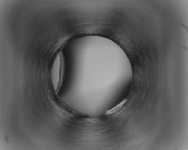 X0000098090164200804251303