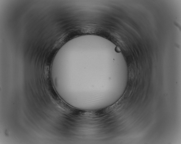 X0000098090171200804251303