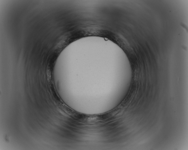 X0000098090173200804251303