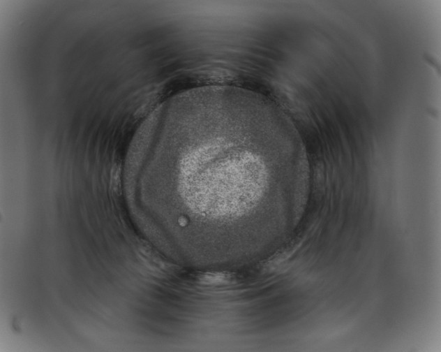 X0000098090177200804251303