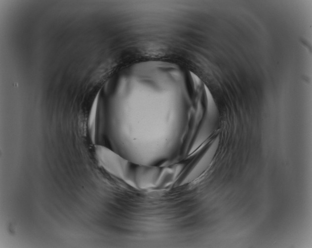 X0000098090180200804251303