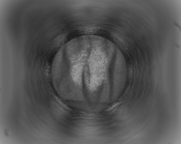 X0000098090181200804251303