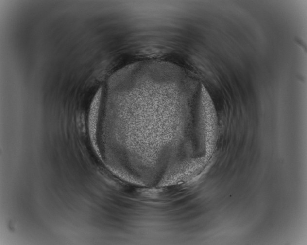 X0000098090182200804251303