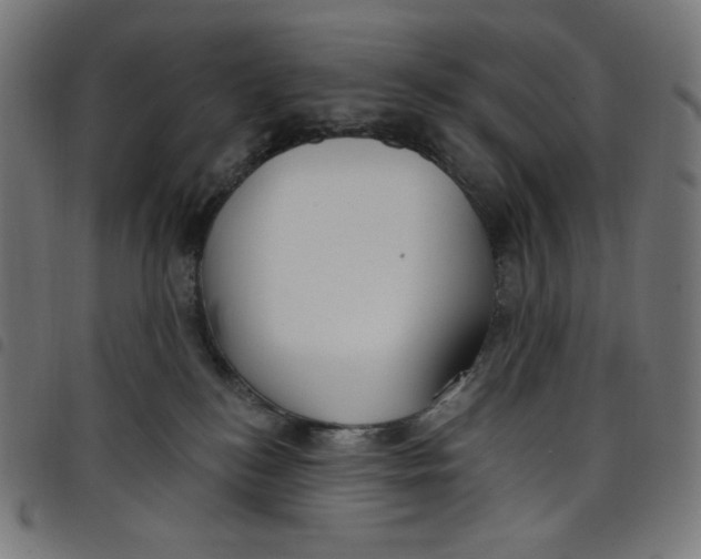 X0000098090184200804251303