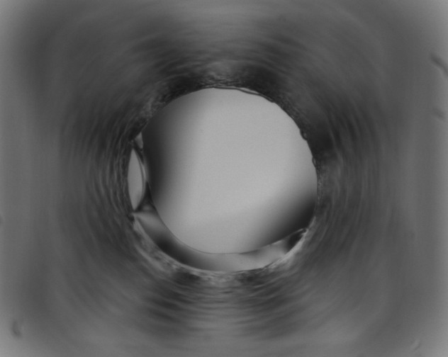 X0000098090186200804251303