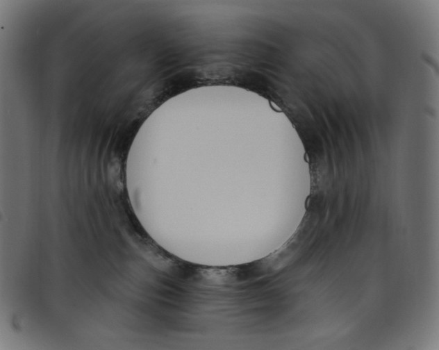 X0000098090187200804251303