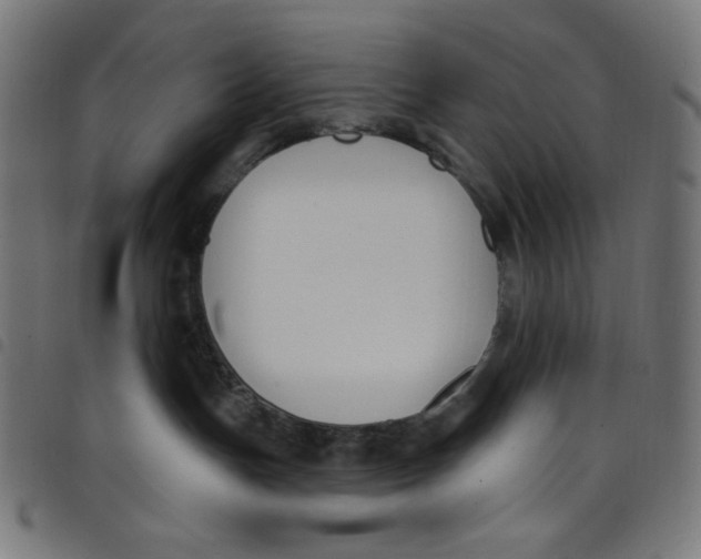 X0000098090191200804251304