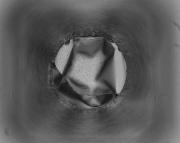 X0000098090192200804251304