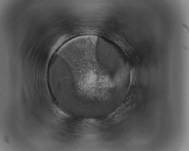 X0000098090195200804251303