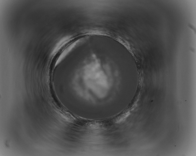 X0000098090199200804251303