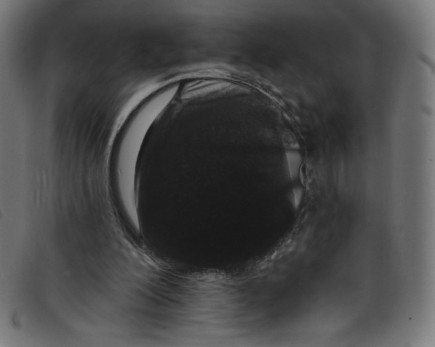 X0000098090200200804251303