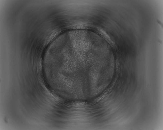 X0000098090202200804251303