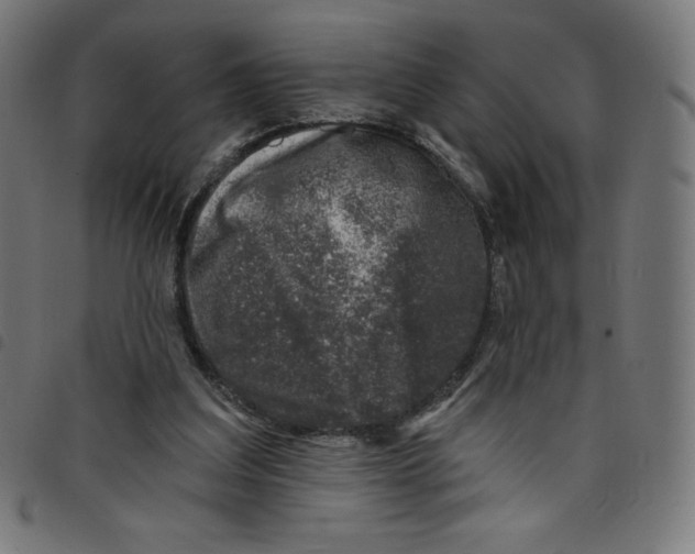 X0000098090203200804251303