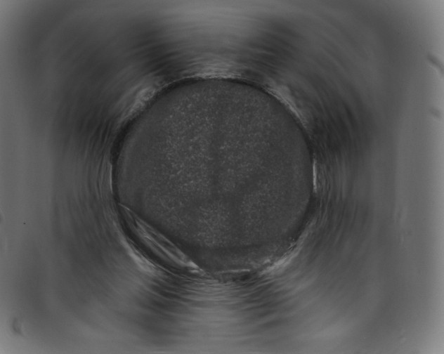 X0000098090205200804251303