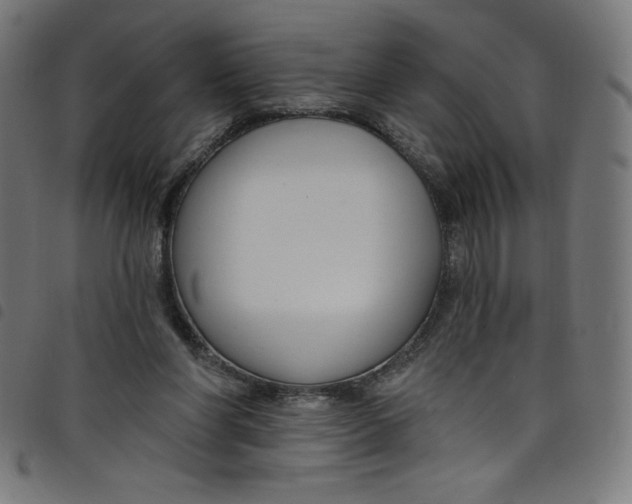 X0000098090206200804251303