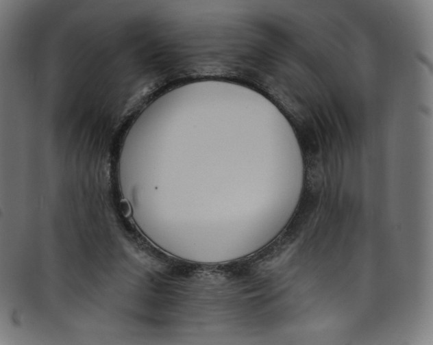 X0000098090207200804251303