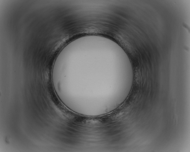 X0000098090208200804251303