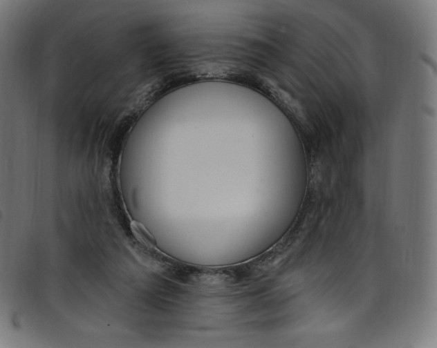 X0000098090209200804251303