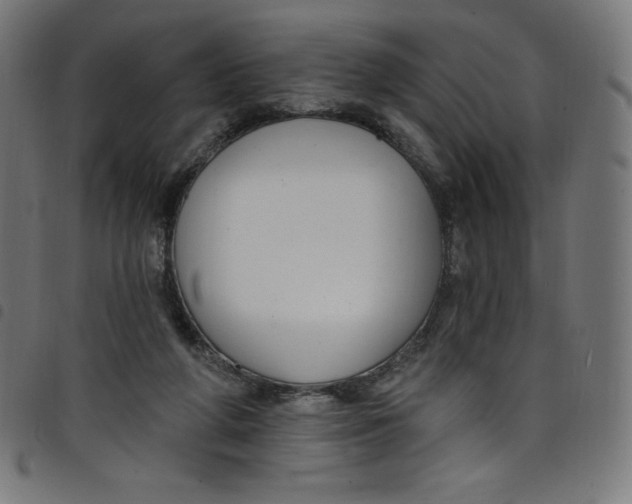 X0000098090210200804251303