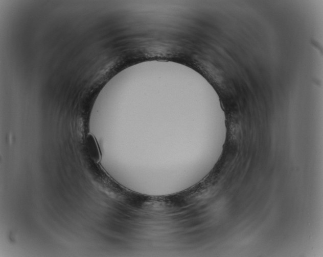 X0000098090211200804251303