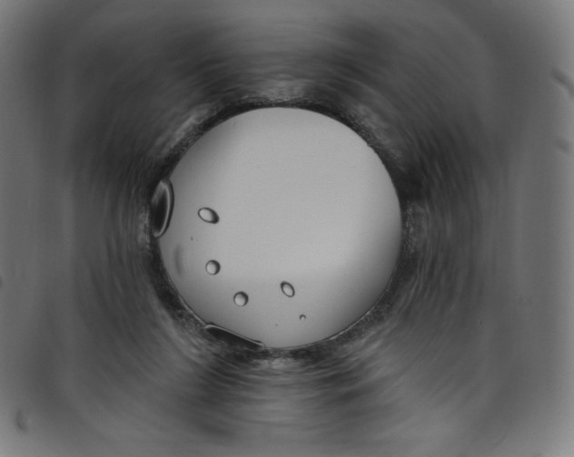 X0000098090212200804251303