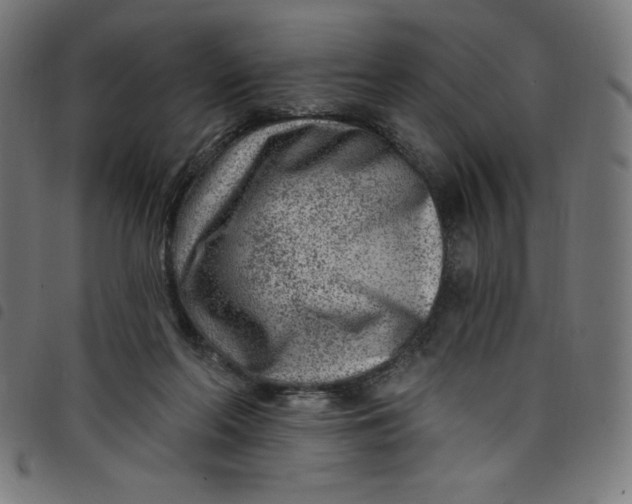 X0000098090214200804251303