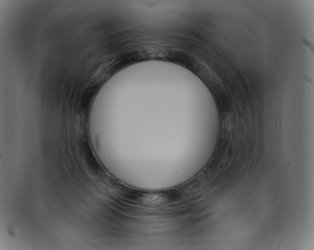 X0000098090218200804251303