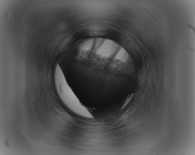 X0000098090219200804251302