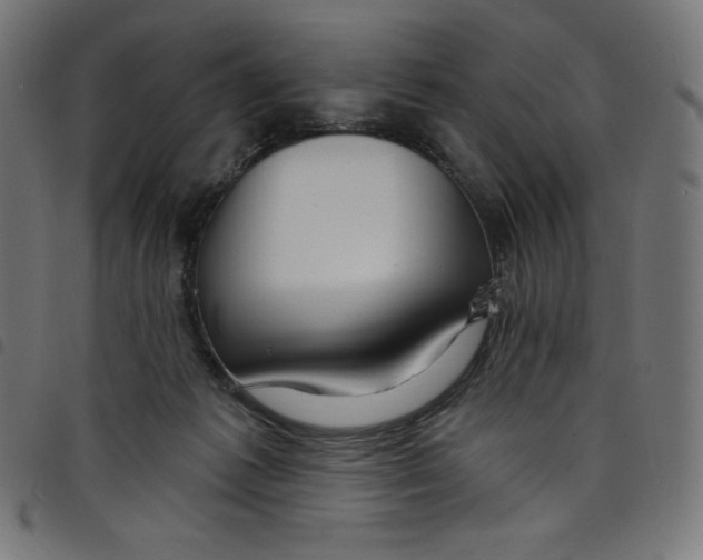 X0000098090221200804251302