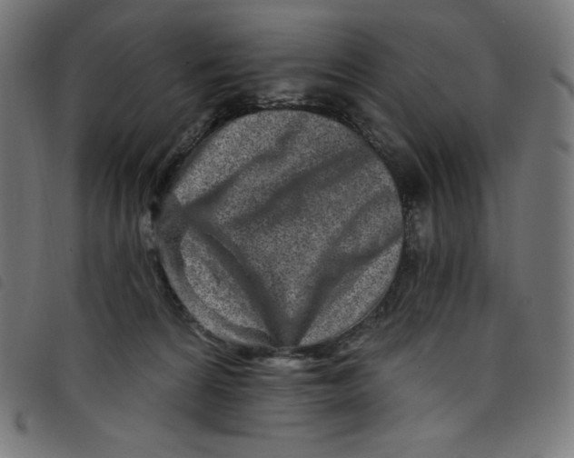 X0000098090224200804251302