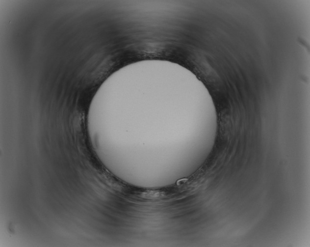 X0000098090225200804251302