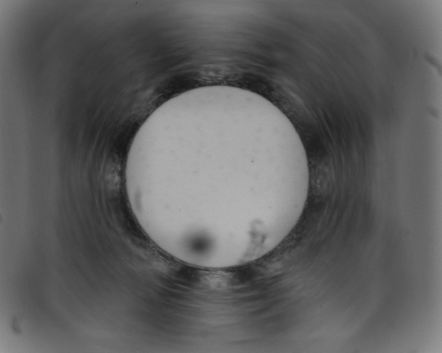 X0000098090226200804251302