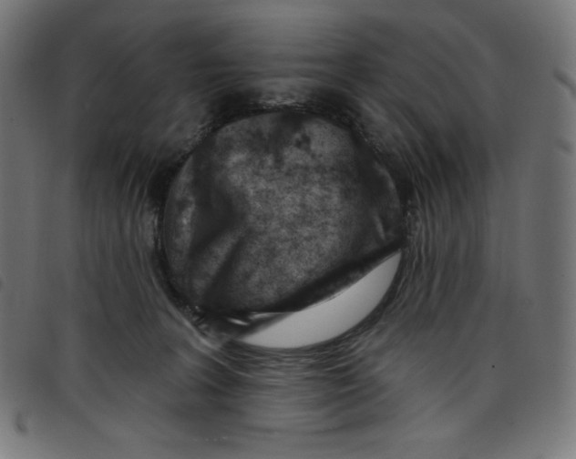 X0000098090227200804251302