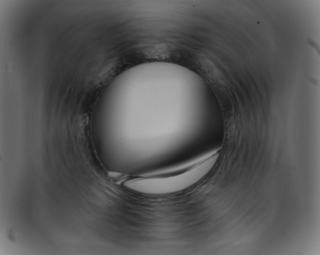 X0000098090229200804251302