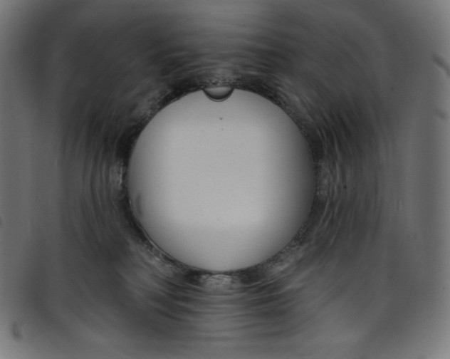 X0000098090230200804251302