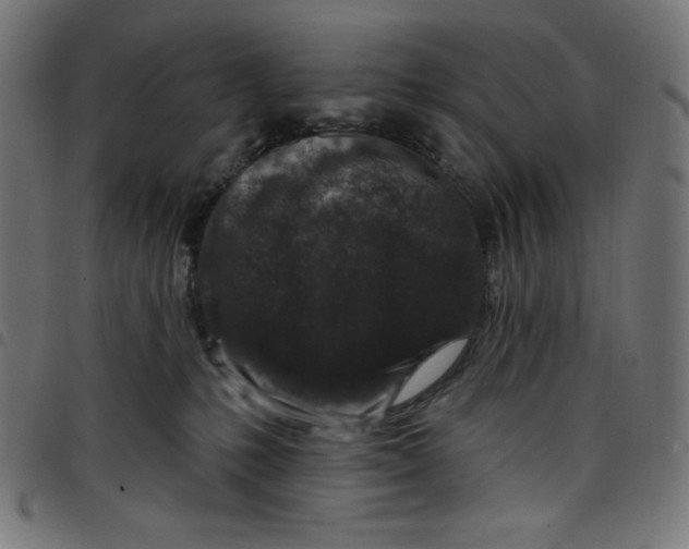 X0000098090231200804251302