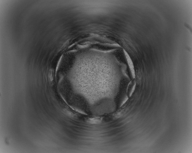 X0000098090232200804251302