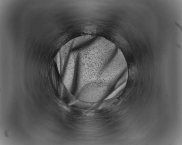 X0000098090233200804251302