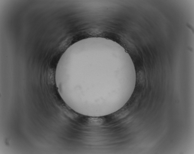 X0000098090234200804251302