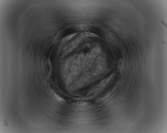 X0000098090235200804251302