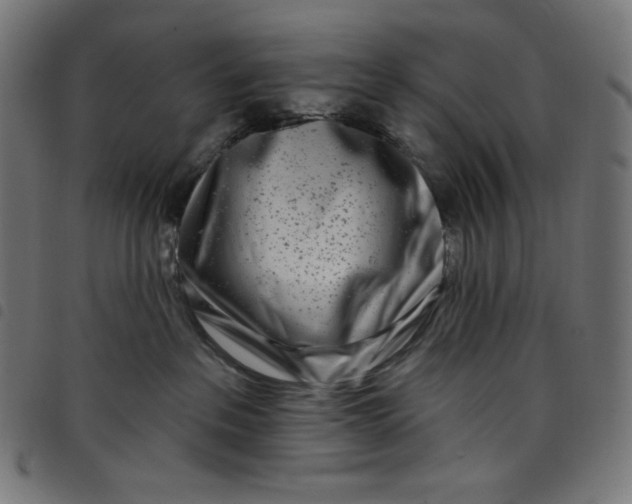 X0000098090237200804251302