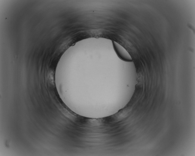 X0000098090238200804251302